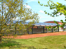Half Olympic sized pool heated by solar